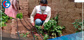 Agricultores puneños interpretan señales del clima para reducir impacto de sequías  