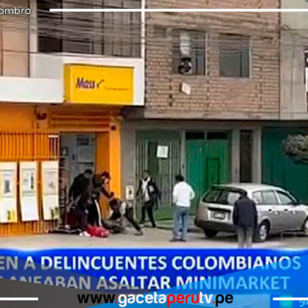 Dos delincuentes extranjeros cayeron mientras robaban un minimarket