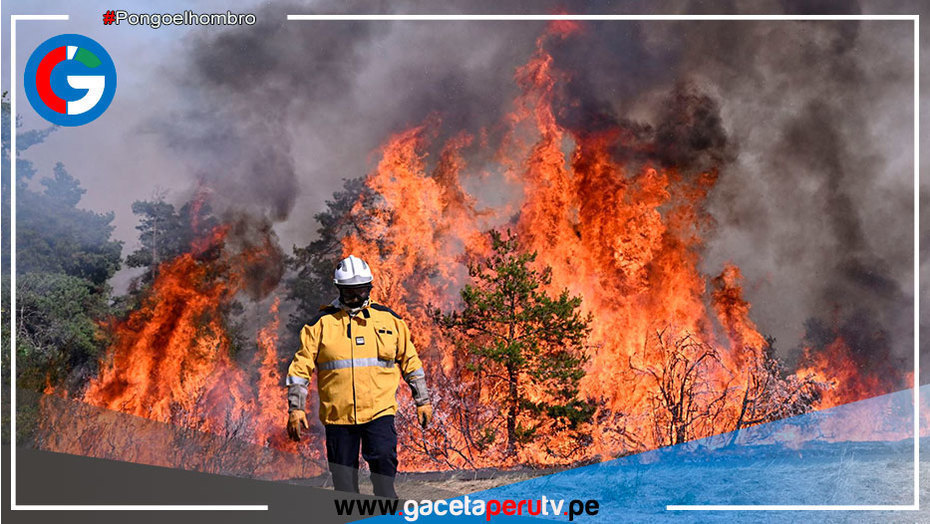 Francia: Una oleada de incendios arrasa miles de hectáreas