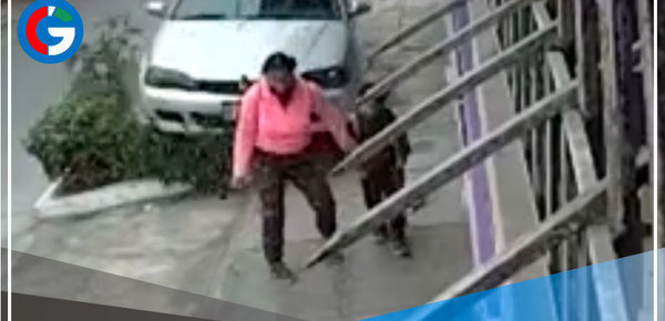 Una mujer caminaba con su hija cuando fue atropellada por un auto que circulaba por la acera en SMP 