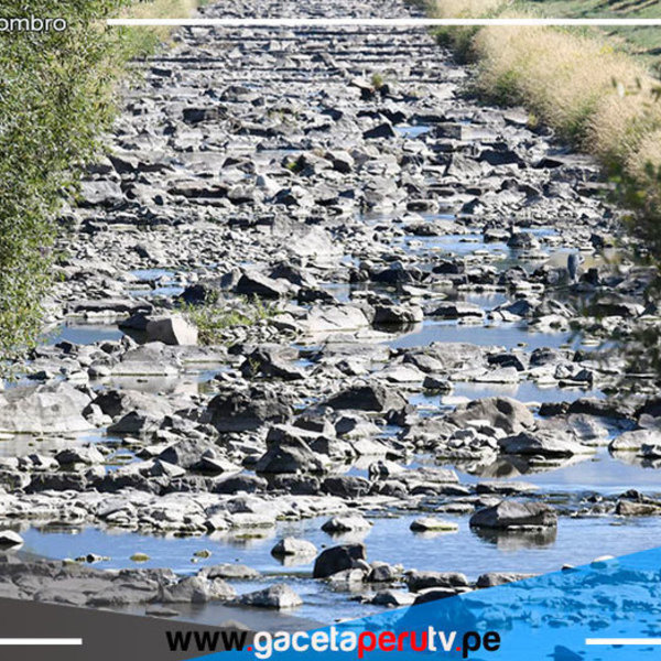 El Gobierno británico declara el estado de sequía 