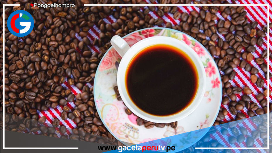 Surco: Público podrá degustar café de exportación