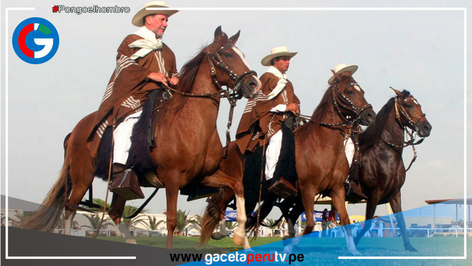 Declaran al chalán referente del patrimonio cultural de la región