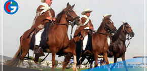 Declaran al chalán referente del patrimonio cultural de la región 