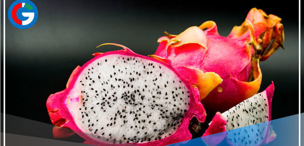 Lima: Elaboran pan de harina de cáscara de pitahaya roja y amarilla