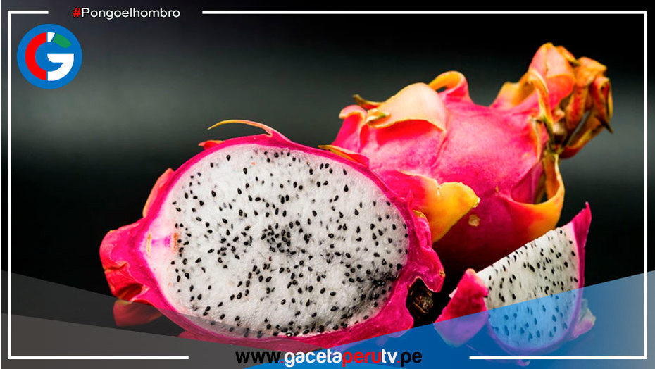 Lima: Elaboran pan de harina de cáscara de pitahaya roja y amarilla