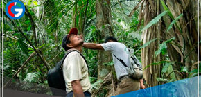 Fortalecerán estándares sobre defensores ambientales y recursos naturales 