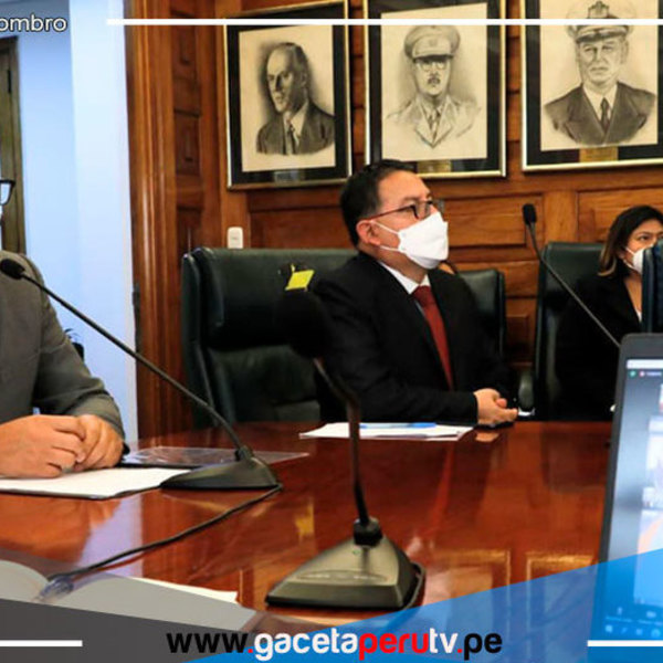 Países miembros de la OPS evaluaron compra de vacuna para nuevo virus 