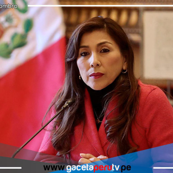 Camones: “Me ofrecían que no atienda algunos proyectos a cambio de no votar por mi censura”