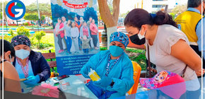 Este 15 de septiembre se iniciará la segunda etapa de la campaña de desparasitación gratuita a nivel nacional