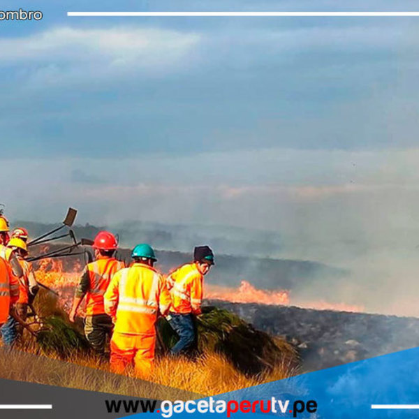 Incendios forestales afectaron a la región Cajamarca en las últimas 6 semanas