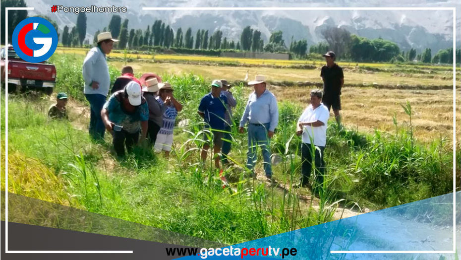 Producción de principales cultivos cubrió la demanda de alimentos en el país