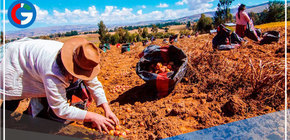 Bono Wanuchay: Banco de la Nación anunció la ampliación del pago hasta el 31 de diciembre