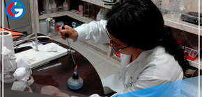 Trujillo: Investigadores aíslan levaduras con potencial para producir biodiésel