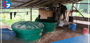 Tres paises realizan exitosa operación antidrogas en zona de frontera