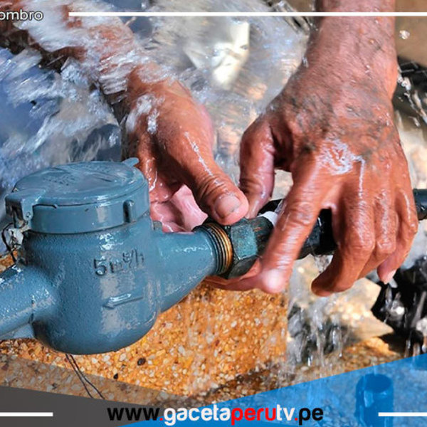 Inodoro malogrado puede provocar pago adicional de S/ 1190 en recibo de agua
