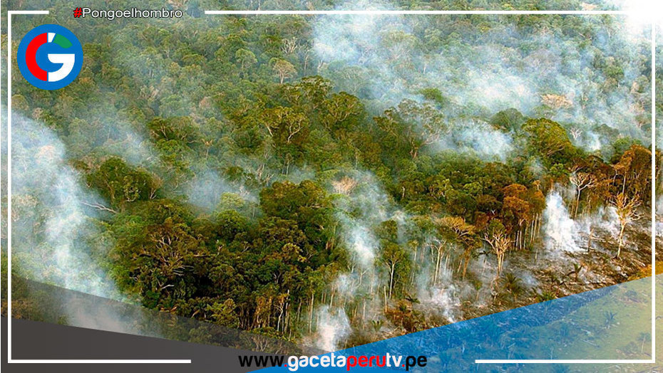 Indígenas aislados son las más amenazadas de Amazonía brasileña