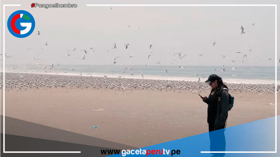 Ventanilla: estudio revela que desapareció contaminación en el litoral