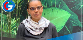 Fijan metas globales para reducir la deforestación