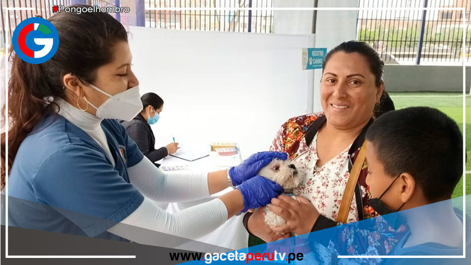 Chorrillos se prepara para sus campañas gratuitas