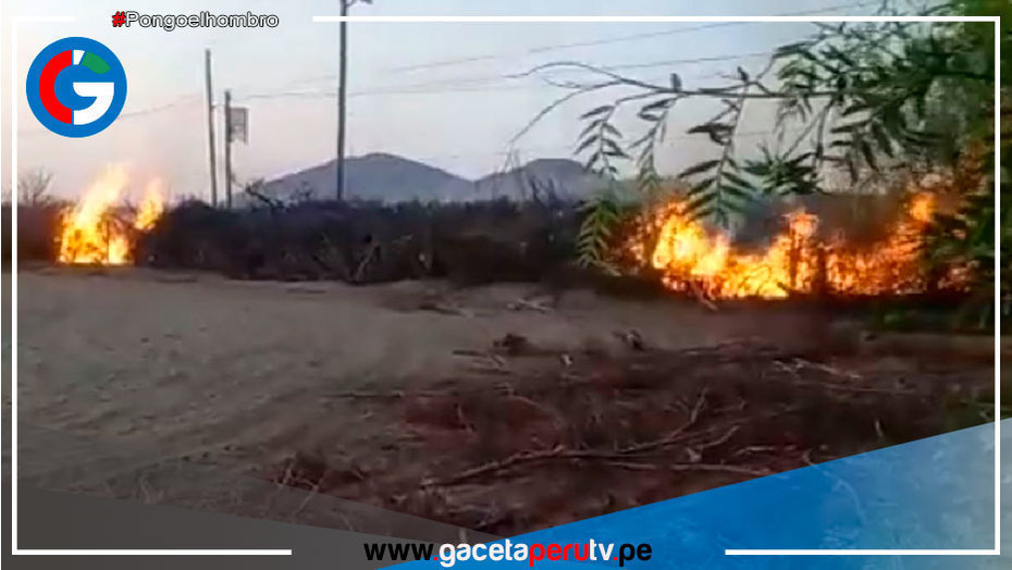 Condenan ataques a fundos de agroexportación e invoca al diálogo social
