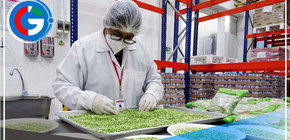 Qali Warma fortalece capacidades de equipos técnicos de todo el país para el servicio alimentario 2023