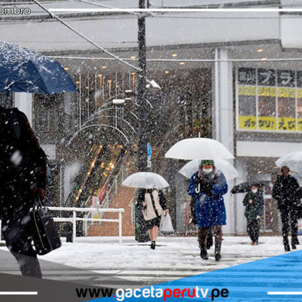 Japón: Ola de frío deja vuelos y trenes cancelados y carreteras cortadas