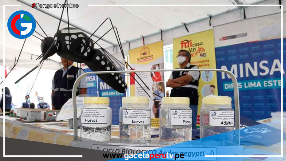Lima: Lanzan estrategia Dengue Móvil para impulsar prevención contra enfermedad