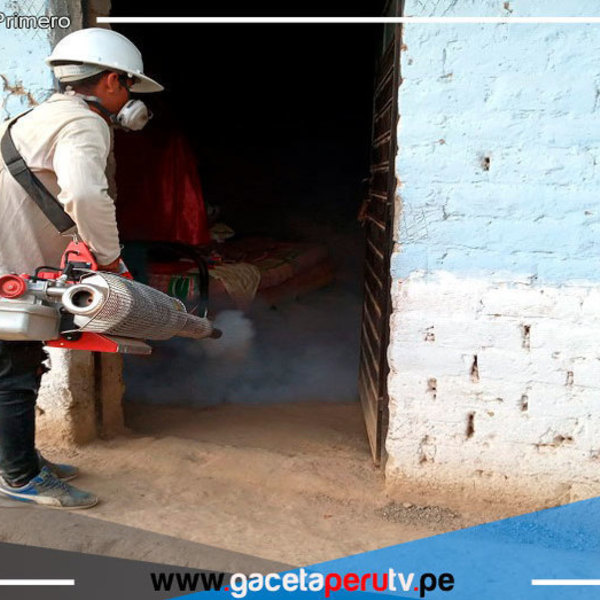 Más de 40 casos autóctonos de dengue se ha detectado, solo en enero