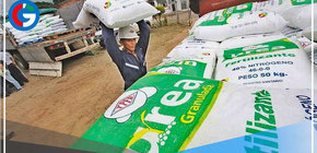 Direcagro buscará reembolso de dinero depositado a AgroRural como garantía