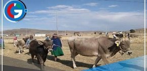 Crisis hídrica en la región se intensifica por ola de calor