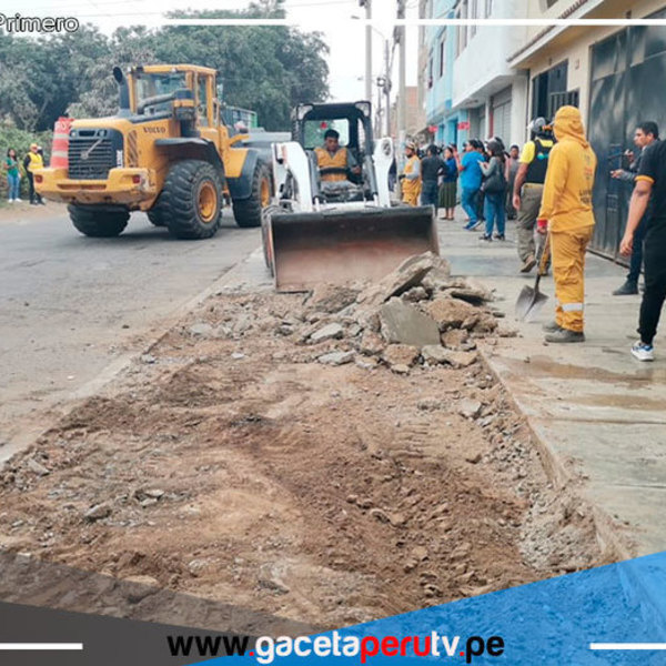 12 Cuadras de Áreas Verdes emergen después de 15 Años en Comas