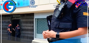 Arrestan a 13 personas y rescatan 400 mascotas en España.