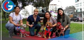 Seis mil mascotas registradas y con microchip