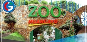 Huancayo: Reportan que 31 animales han muerto en lo que va del año en el zoológico municipal