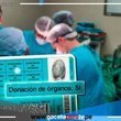 Donantes de órganos podrán renovar su DNI completamente gratis