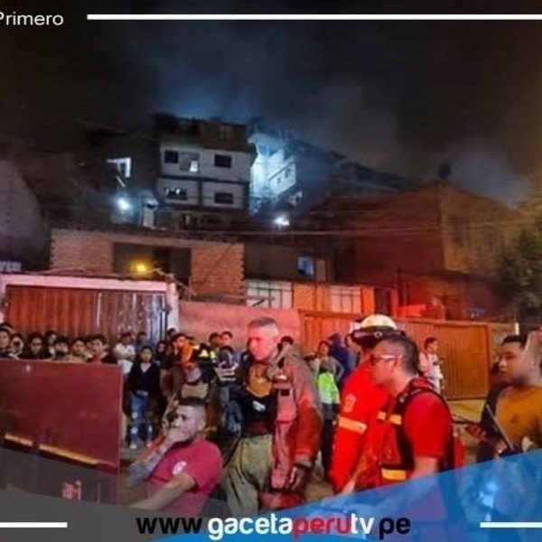 Intenso fuego arrasa en la urbanización Palomares