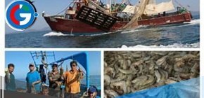 Conoce qué especies estarán disponibles en los Mercados Pesqueros