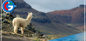 Arequipa: naciente del río Amazonas en camino a convertirse en área natural protegida