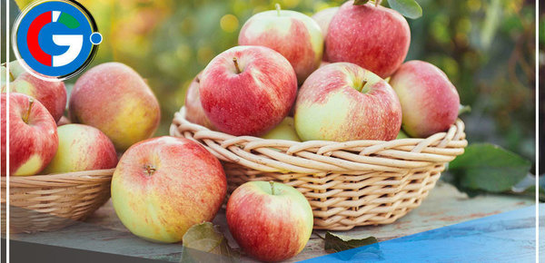 INACAL brinda requisitos para impulsar el consumo y comercialización de manzanas de calidad 