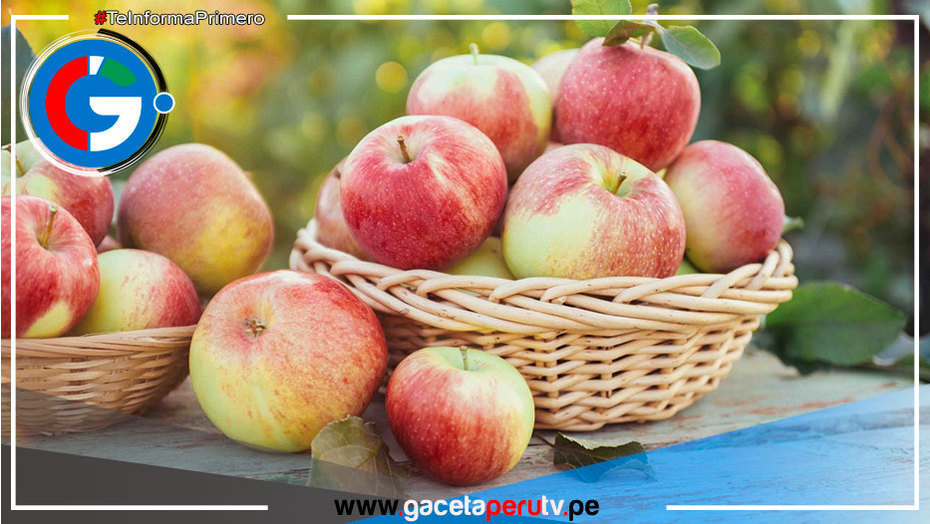 INACAL brinda requisitos para impulsar el consumo y comercialización de manzanas de calidad