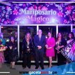 Nuevo Mariposario en Lima 