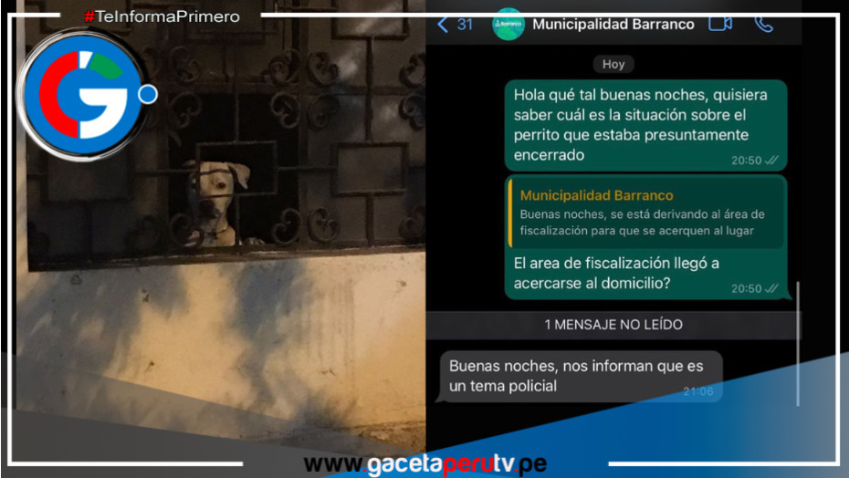 Municipalidad de Barranco hace caso omiso a la denuncia de perro atrapado en aparente casa abandonada