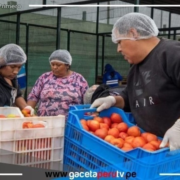 Mas de mil toneladas de alimentos destinados a las ollas comunes 