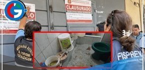 Panadería en Trujillo clausurada por elaborar panetones en el baño y con presencia de insectos