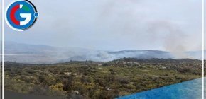 Incendio forestal arrasa tierras de cultivo en Caraveli