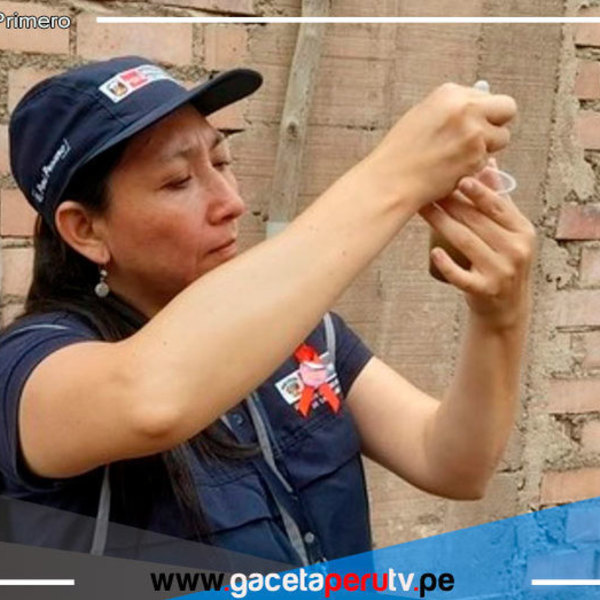 Intervendrán 300,000 viviendas de 13 distritos con acciones de control contra el dengue