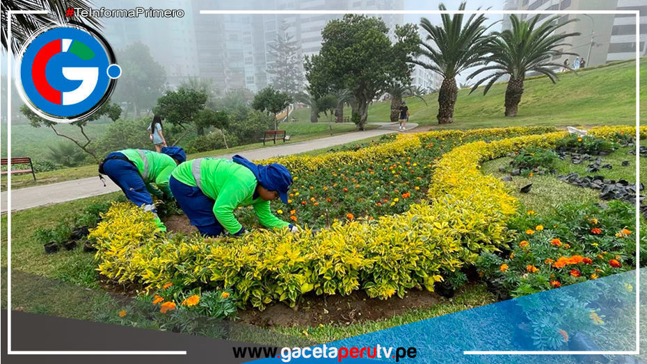 Miraflores realizó más de 1,000 intervenciones en áreas verdes y ciclovías