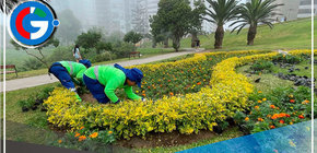 Miraflores realizó más de 1,000 intervenciones en áreas verdes y ciclovías