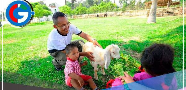 ¿Quiénes pueden descansar hasta el martes 2 de enero y por qué? 